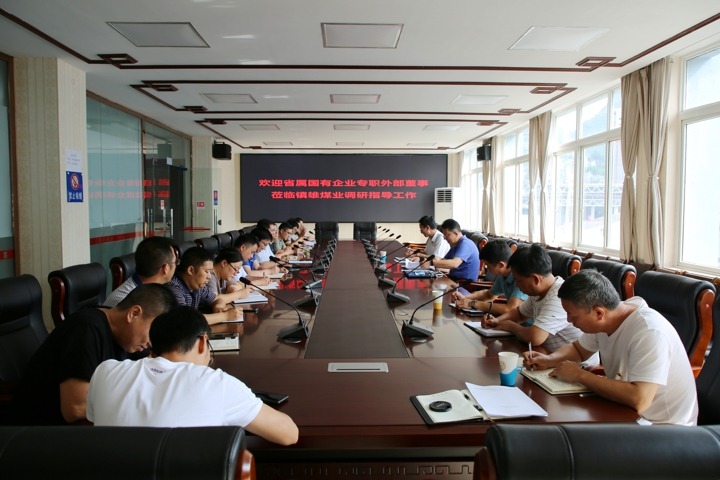 集团专职表部董事寸延峰与伍显清一行到镇雄煤业调研