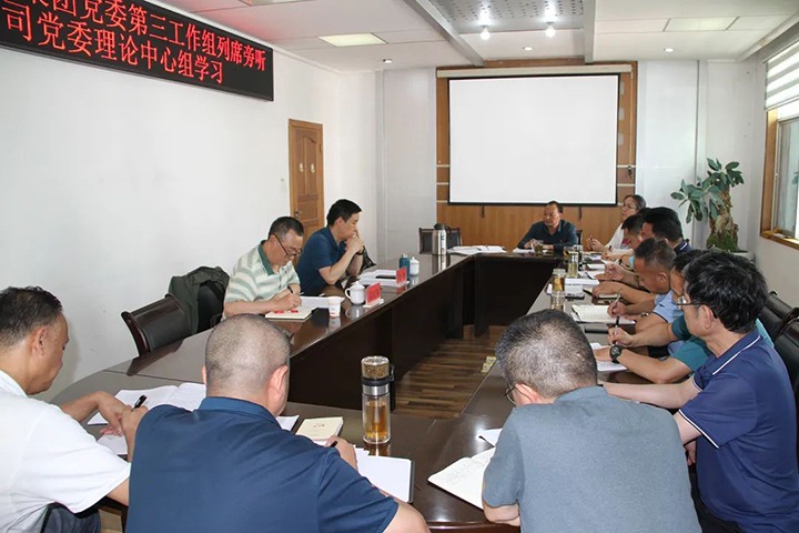 云煤（yl6809永利）集团党委第三工作组列席旁听恒通公司党委理论中心组进建