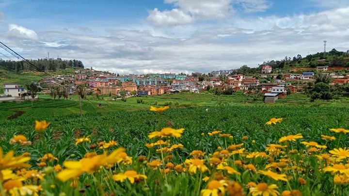 【主题宣传周】云南一平浪煤矿有限公司之单元简介
