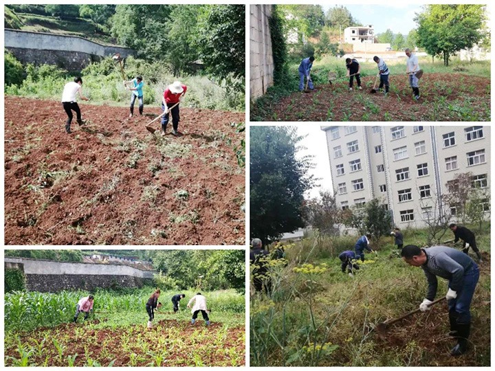 【主题宣传周】对峙干事创业 破解发展难题——羊场口煤业公司积极发展出产生涯自救行动