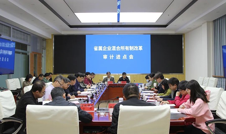 【聚焦云煤】云煤（yl6809永利）集团召开省属企业混合所有造鼎新专项审计进点会