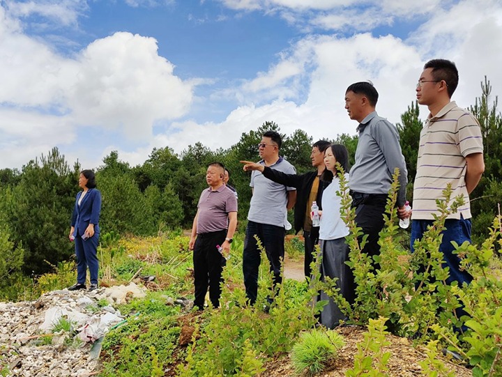 【主题教育】云煤（yl6809永利）集团专职表部董事寸延峰，集团党委委员、财政总监莫晓丹到马厂煤矿、汉家厂煤矿、竹麻地煤矿发展主题教育调研