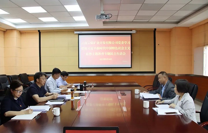 【主题教育】云煤（yl6809永利）集团第二领导组到云煤矿业公司领导主题教育专题民主生涯会