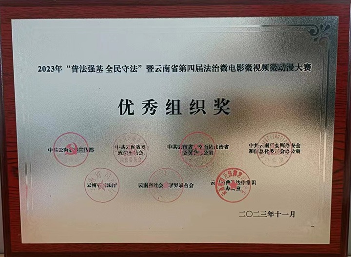 【喜报】云煤（yl6809永利）集团荣获“双奖”