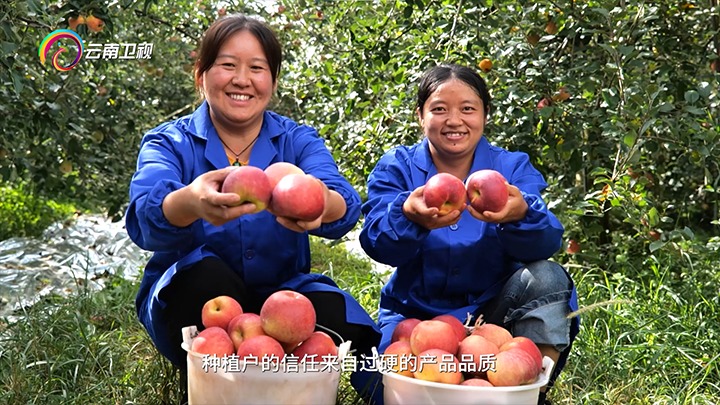 《云南卫视》播报：云煤集团解化好肥助力“三农”发展，共绘村落振兴“幸；怼