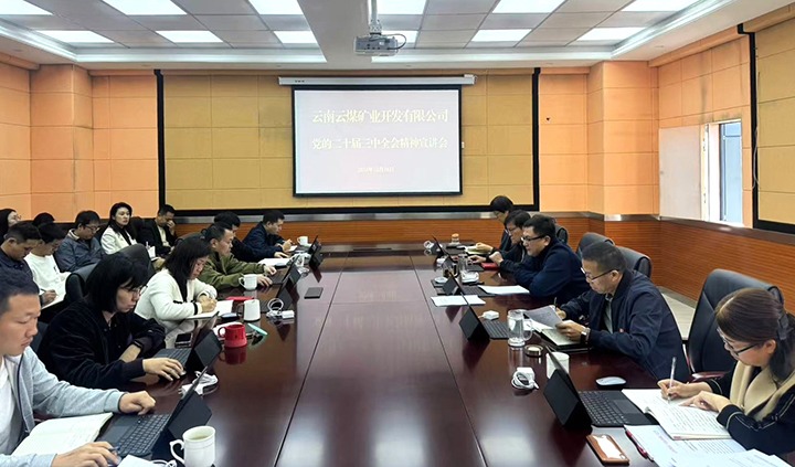 凝聚鼎新共识 激扬奋进力量——云煤矿业发展进建贯彻党的二十届三中全会心灵宣讲